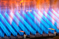 Brampton Abbotts gas fired boilers